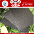 Einzelne raue Oberfläche HDPE Geomembrane mit Günstigen Preis